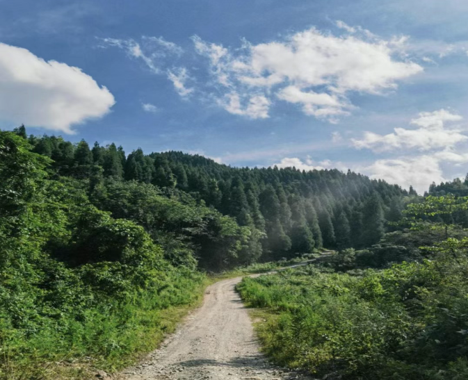 现在出发！避暑就来贵阳：【一村一景】靛山村（下）：森林美食、文化韵律、探险乐园