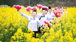 贵州天柱：油菜花海涌动文明新潮