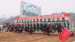 2026年贵州省“家奥会”在三都启幕 巾帼风采献礼“三八”妇女节