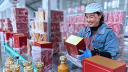 贵州仁怀：项目筑基强动能 包装生产提质效