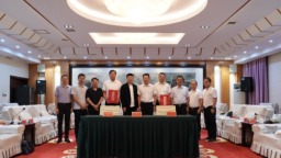 一碗酸汤里的乡愁与新生