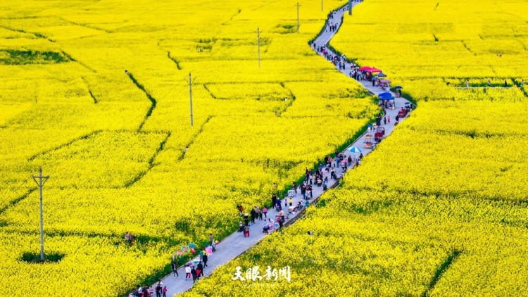 三月的贵州：是被春天打翻的调色盘_fororder_dD0xNzczODE3ODU1X3I9NWE3OGQzZTRfdz0xMDgwX3E9MTAwX2U9anBn