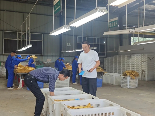 贵州六盘水市水城区烤烟收购工作全面启动_fororder_3
