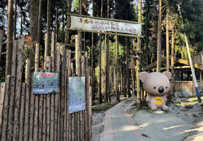 现在出发！避暑就来贵阳：【一村一景】靛山村（下）：森林美食、文化韵律、探险乐园