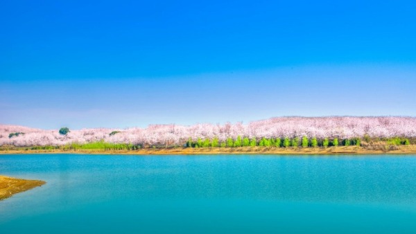 三月的贵州：是被春天打翻的调色盘