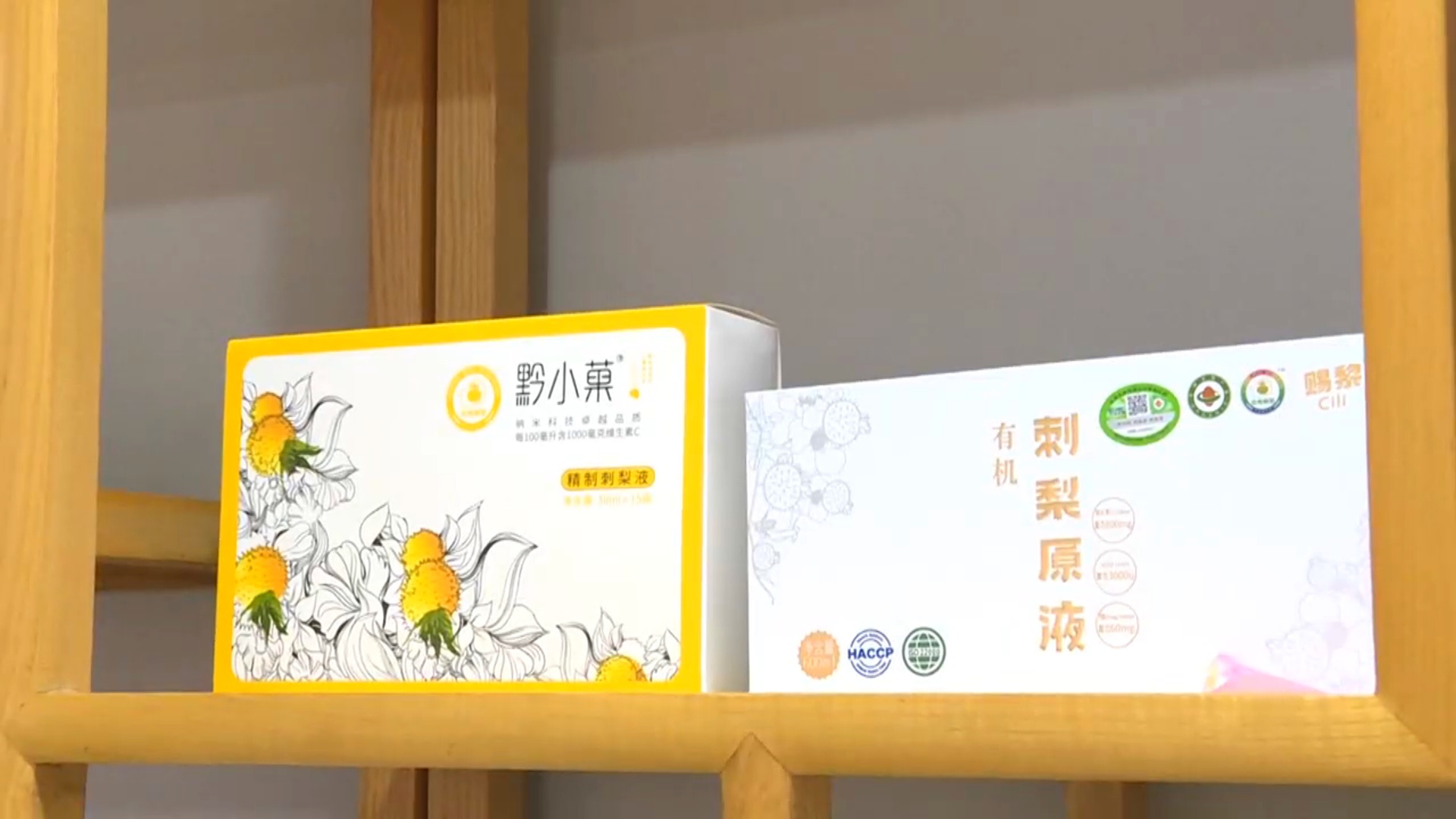 从荒山到“金”山！梭戛乡刺梨丰收挂满“金果果”
