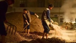 产业深度调整，遵义凭什么“稳”？