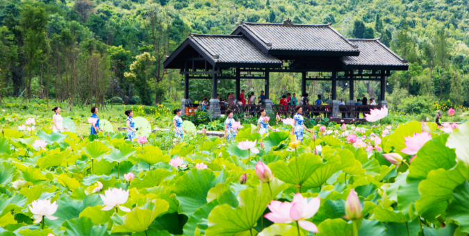现在出发！避暑就来贵阳：一村一景：灯相约 花为媒 去蓬莱搭乘“四季列车”