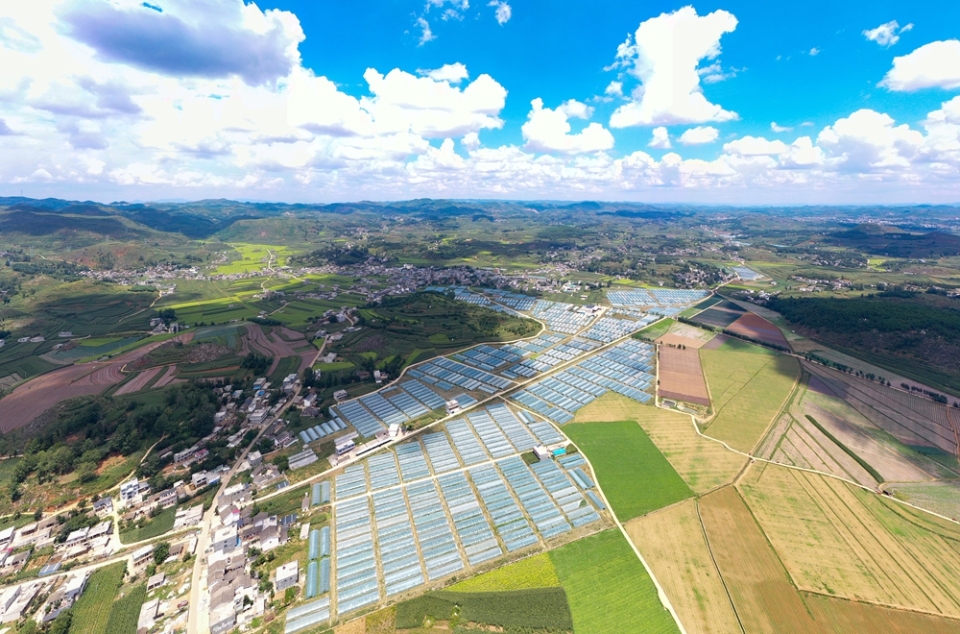 贵州威宁自治县：农业产业编织“夏日田园画”_fororder_威宁自治县双龙镇水潮村蔬菜种植基地。（无人照片  岳刚  摄）