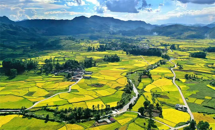 9月13&mdash;14日，黔南州龙里县湾滩河镇将举办稻田美食音乐节！