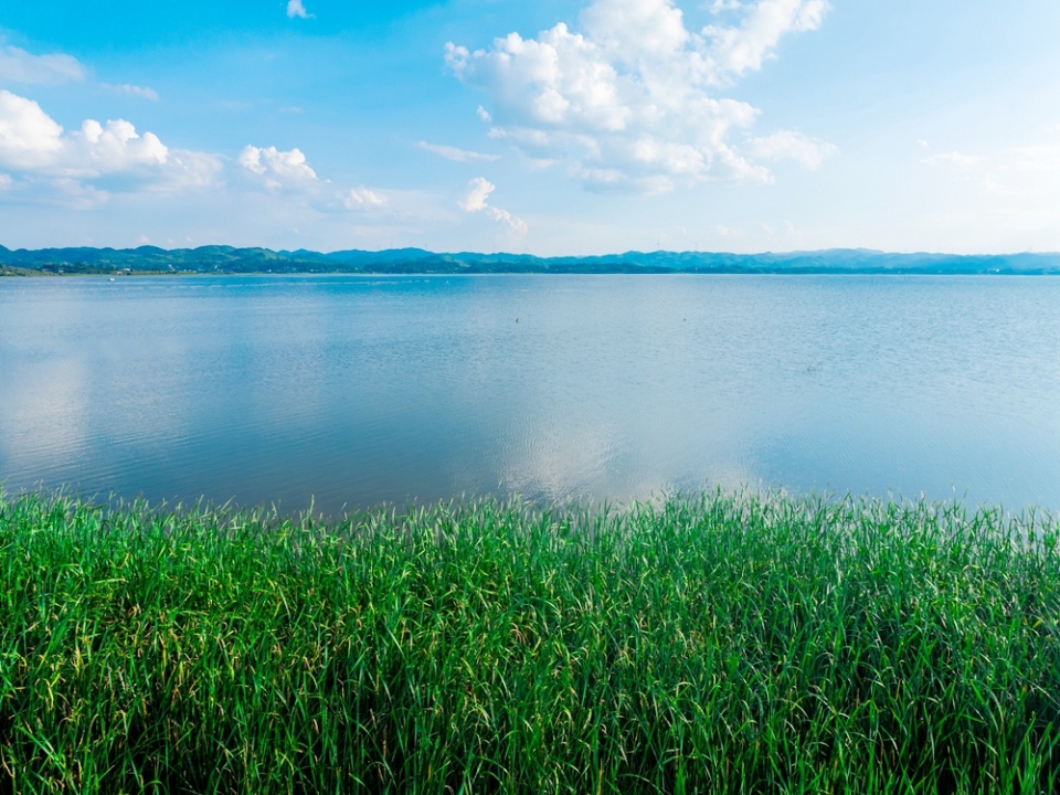 贵州威宁草海17℃“凉”方 生态活力引游客打卡_fororder_7月30日，岸边的草海一望无际+管庆巍  摄+18908571373 +2025年7月30日拍摄于威宁草海