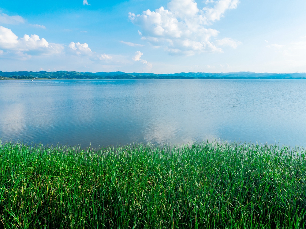 贵州威宁草海17℃“凉”方 生态活力引游客打卡_fororder_7月30日，岸边的草海一望无际+管庆巍  摄+18908571373 +2025年7月30日拍摄于威宁草海