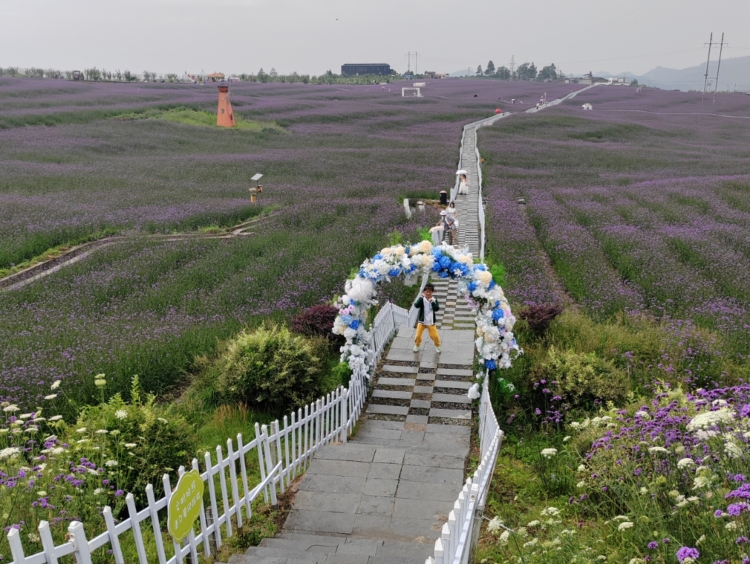贵阳市花溪区：绿满田园 沃野生金_fororder_55
