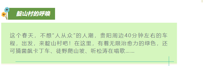 现在出发！避暑就来贵阳：【一村一景】靛山村（下）：森林美食、文化韵律、探险乐园