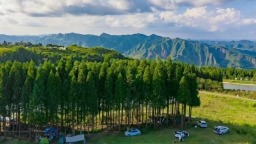 “康养水城·清凉一夏”避暑季启幕 贵州水城以多元体验迎八方宾客