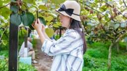 2025年修文猕猴桃开园活动启幕 同步发布农文旅融合线路