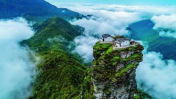 贵州：经营主体活跃 激荡发展活力