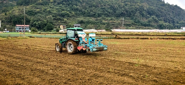 贵州正安：11万余亩油菜移栽忙 静待花开好&ldquo;丰&rdquo;景_fororder_11