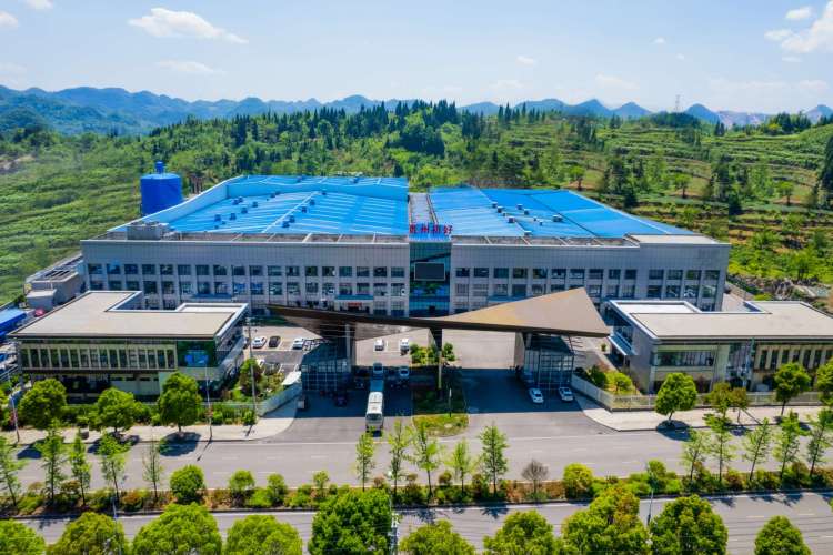 六盘水刺梨：任正非“百年耐心”理论下的山果蜕变，初好品牌领航黔货出山_fororder_1f8f98138155402f8fe7e4f713ba97fd