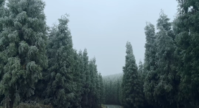 现在出发！避暑就来贵阳：【一村一景】靛山村（上）：春日秘境 到暮光森林·邂逅你的 “阿勒泰”