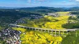 贵州省天柱县围绕“四新”主攻“四化”推动县域经济高质量发展