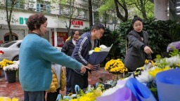 贵州天柱：一束鲜花寄哀思  文明祭扫树新风