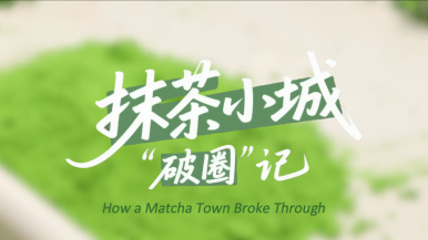 抹茶小城“破圈”记