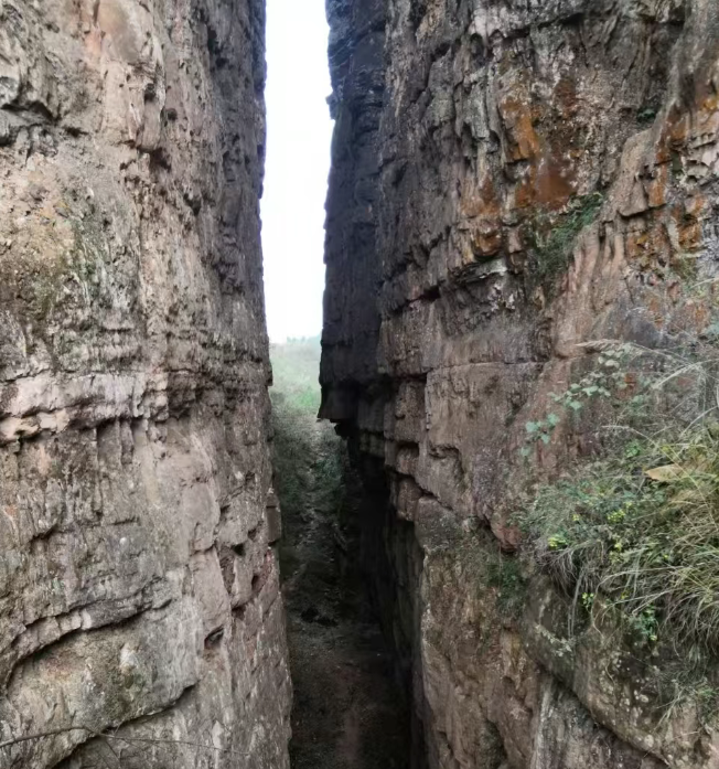 现在出发！避暑就来贵阳：【一村一景】靛山村（上）：春日秘境 到暮光森林·邂逅你的 “阿勒泰”