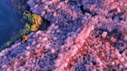 立春“加载”完成！贵州即将进入“高饱和度”的季节