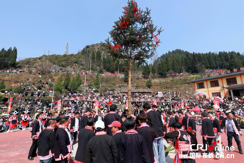 六盘水市六枝特区梭戛乡举行苗族“跳花节”活动_fororder_图片4