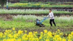 贵州天柱：沃野春潮涌 春日农事忙
