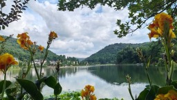 贵州修文石林村举办篝火晚会 喜迎首批避暑旅居客人