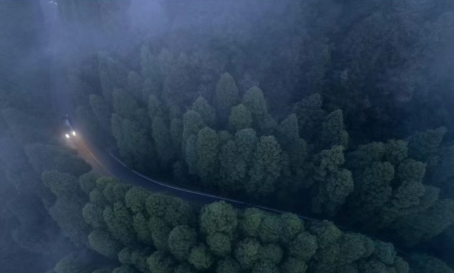 现在出发！避暑就来贵阳：【一村一景】靛山村（上）：春日秘境 到暮光森林·邂逅你的 “阿勒泰”