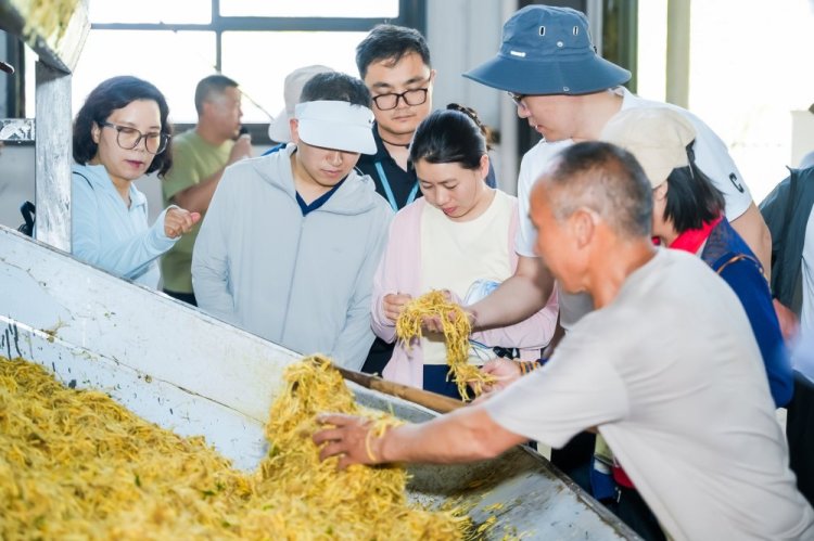 国家中药材产业技术体系太子参单品种攻关工作会议在贵州施秉举办_fororder_44