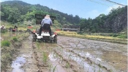 从育秧到插秧 贵州都匀机械化种植走出“新稻路”