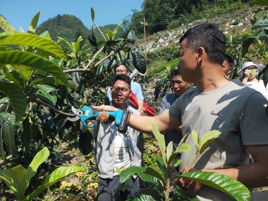 贵州荔波：“果园微课堂”助力果农增收_fororder_640 (1)