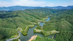 国际盛会再启 五洲共赴青绿｜生态文明贵阳国际论坛架设全球生态合作之桥