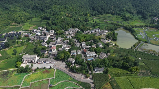 贵州税务牵头帮扶道真县 谱写“三农”发展新篇章 贵州税务牵头帮扶道真县 谱写“三农”发展新篇章_fororder_隆兴浣溪村容村貌2