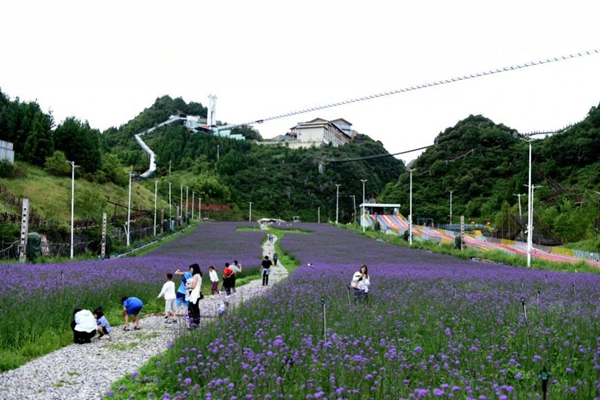 凉都避暑游释放新活力 贵州六盘水梅花山云端盛宴引燃清凉经济_fororder_图片2