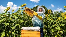 贵州黔西：花开蜜飘香 特种养殖助农增收