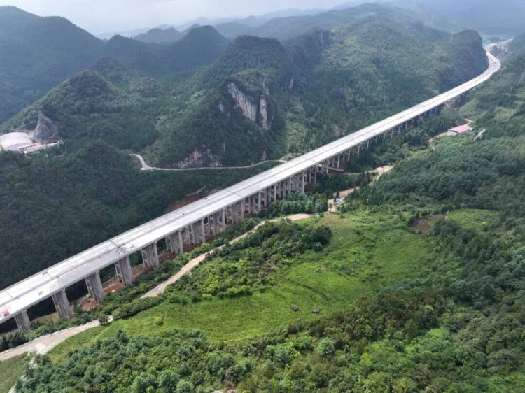 来自安盘高速建设工地的报道丨巨龙穿越“花木树”