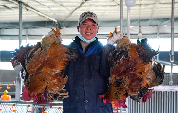 清镇“新春第一会”召开！吹响奋进“十五五”冲锋号_fororder_44444