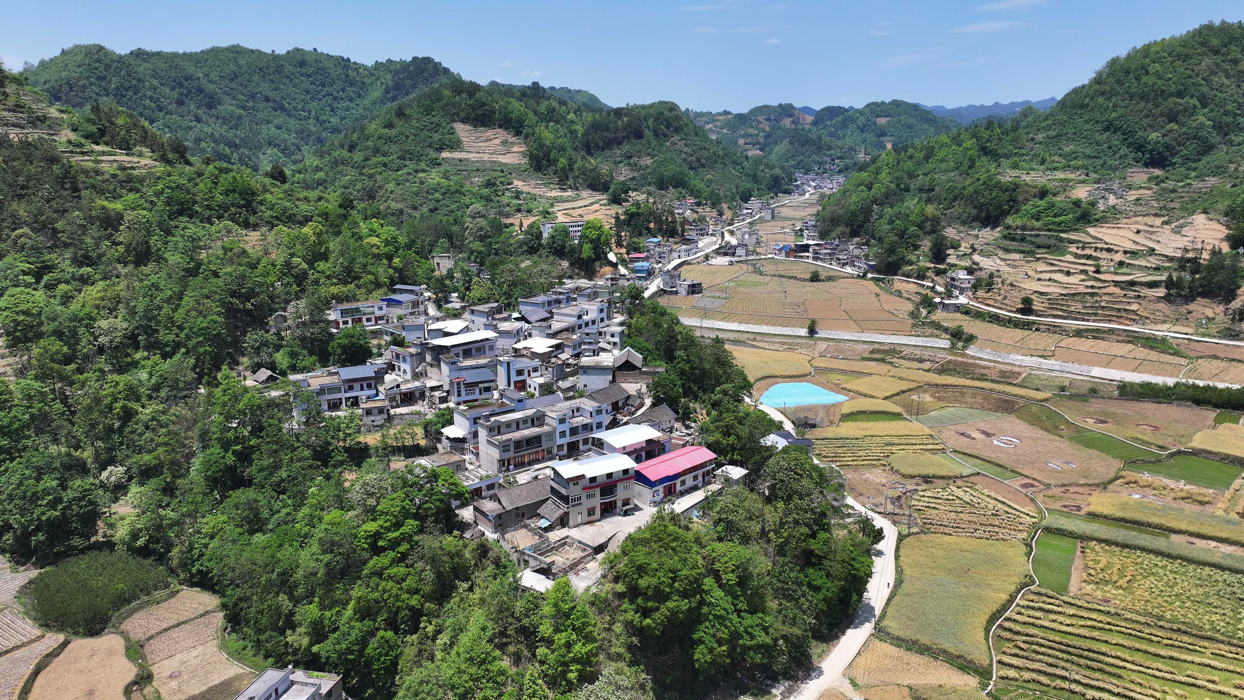 侯博文：驻村路上的“摩托书记”