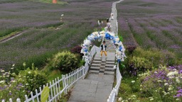 贵阳市花溪区：绿满田园 沃野生金