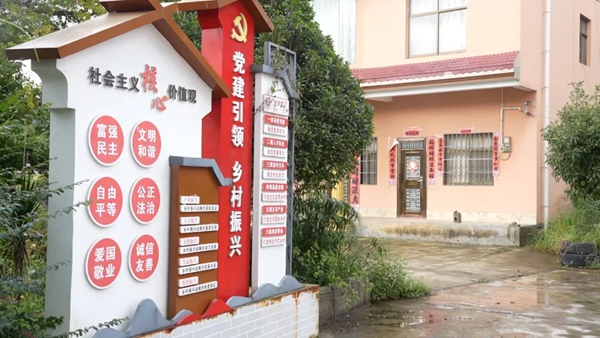 贵州盘州市东冲村以&ldquo;党建引领 精细治理&rdquo;破题乡村振兴_fororder_3