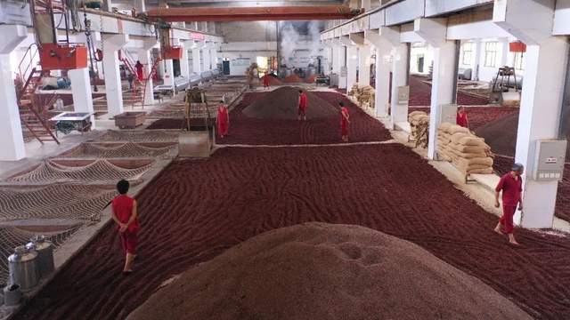 酱酒调整周期，遵义“白酒军团”如何破局？