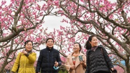 春山爽居 花海畅游｜“繁花”绽放“花经济”，为乡村振兴“增色添香”