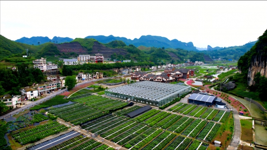 国家花卉工程技术研究中心高山杜鹃创新中心落户毕节_fororder_1750295070178