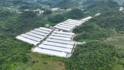 营商“沃土”育产业“金蛋” 贵阳清镇农业招商会见证“服务优+产业强”双优势