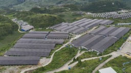 六盘水市六枝特区：板上发电 板下养殖  “光伏+”照亮乡村振兴路